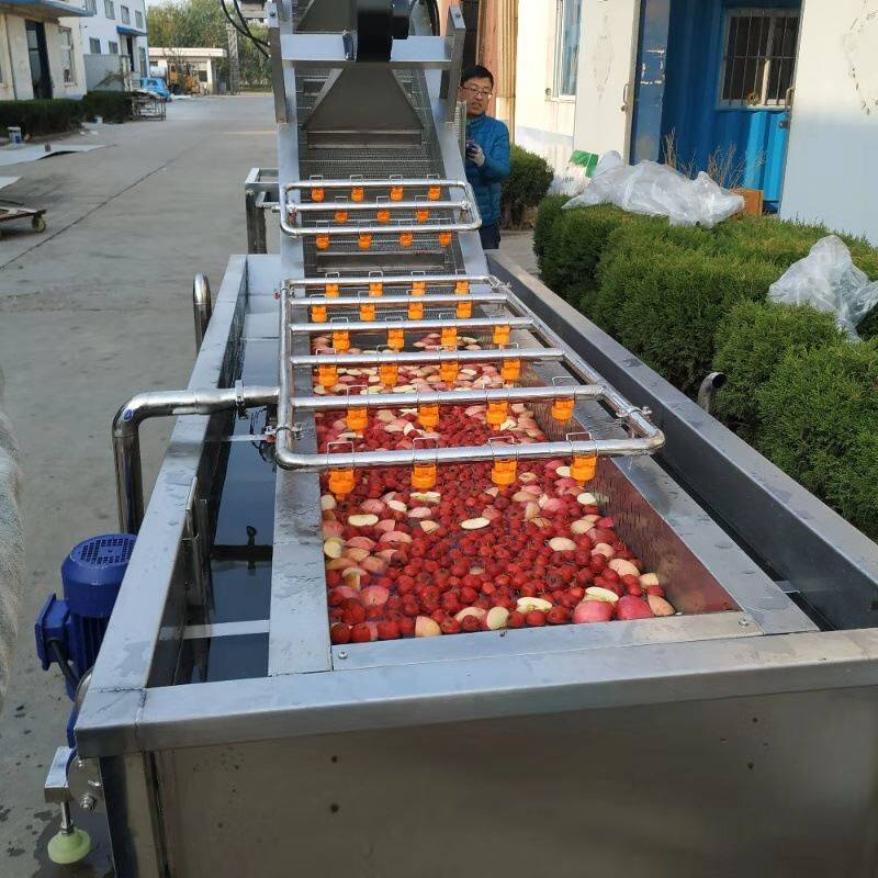 水果清洗机 脐橙清洗分级机 厂家 柑橘气泡喷淋清洗机