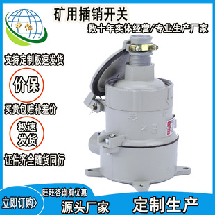 厂家经营矿用插销开关  销售真空防爆开关 矿用防爆插销开关