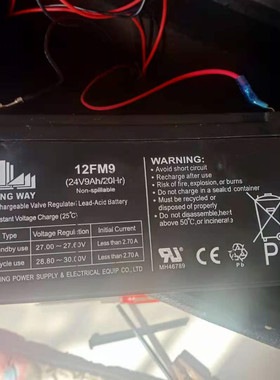 LONGWAY龙威12FM9蓄电池24V9AH万利达户外拉杆K歌音响电池电瓶