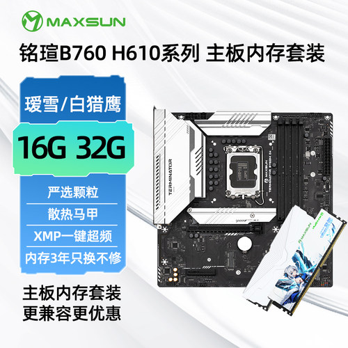 终结者B760MD4内存套装