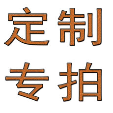 Другие 补差价（定制）专用