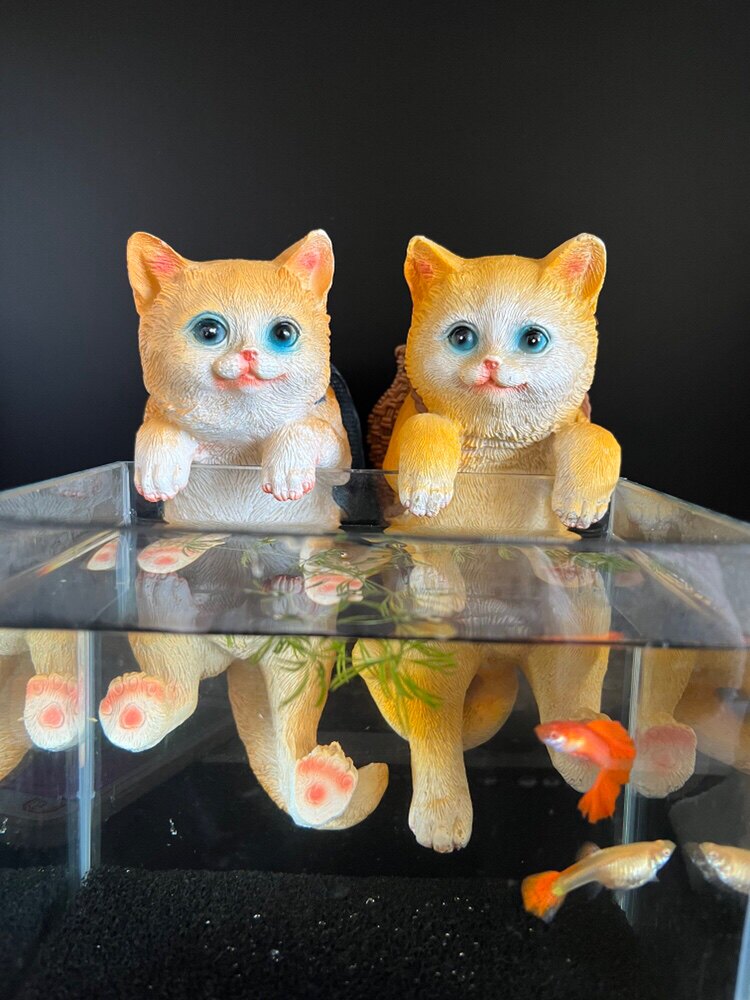鱼缸背篓猫咪背包猫竹蒌猫悬挂摆件水族箱可爱装饰布景收纳
