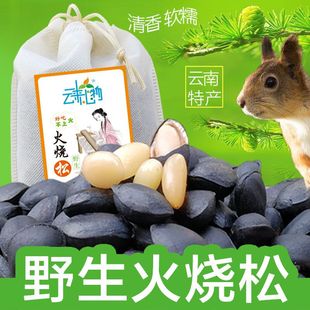 云南火烧松盐水煮五香落松子云南新鲜生松子咸味