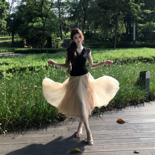 张小涵 月下探戈气质显瘦香槟色网纱半身裙女双层中腰A字仙女纱裙