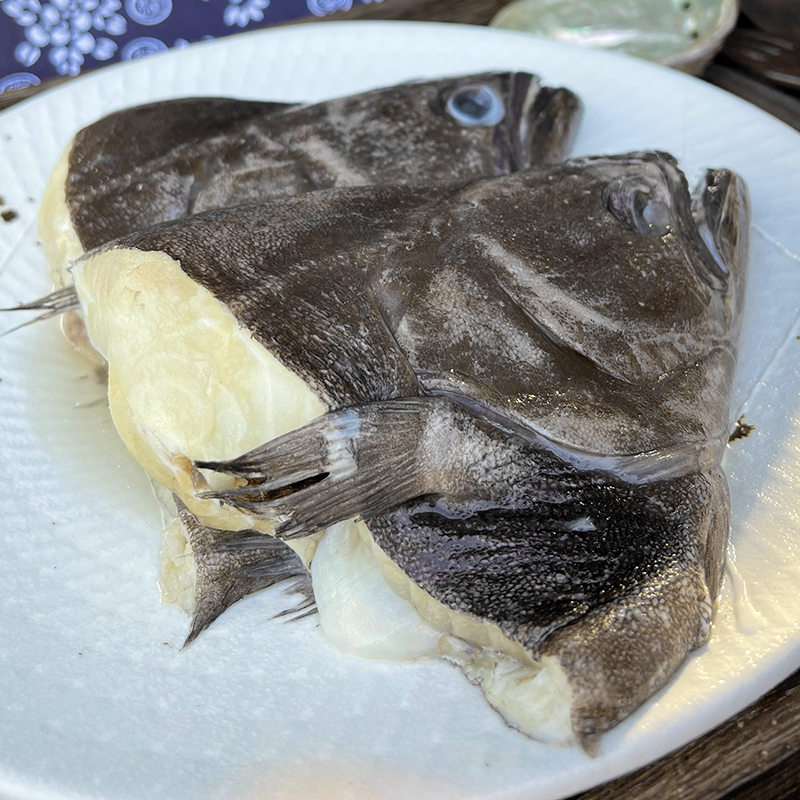 好丰年湛江特产现切比目鱼头新鲜冷冻海鲜多宝鱼鸦片鱼偏口鱼鼓眼