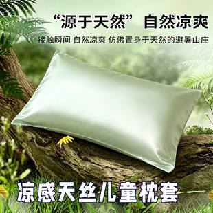 夏季凉感天丝儿童枕套30x50冰丝25x40x60宝宝35x55婴幼儿园枕头套