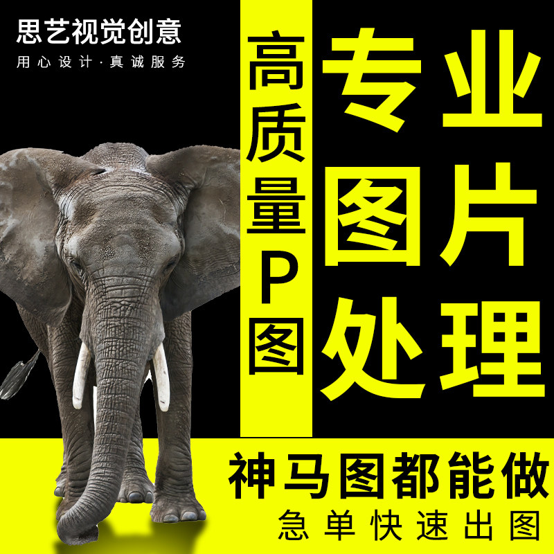 PS图片处理专业p图做图无痕修改数字人像精修合成淘宝修图p图