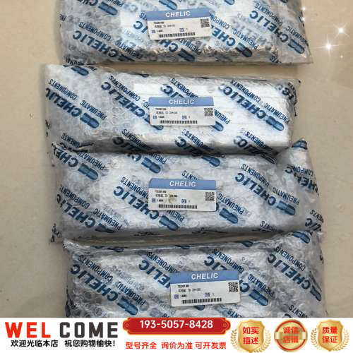 气立可CHELIC 双轴气缸 TD20100详谈报价