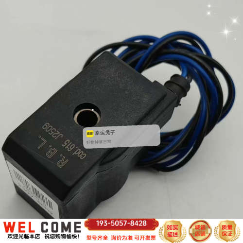 RIELLO利雅路燃烧机2880615  3003001电磁详谈报价