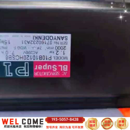 电机P10B10120HCSB8详谈报价