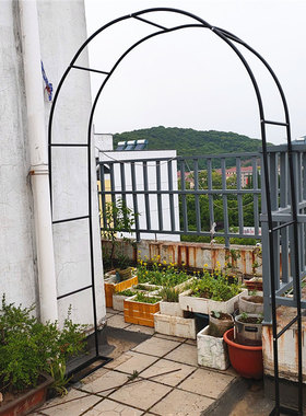 拱门花架铁艺爬藤架葡萄架花园欧式拱形门月季铁线莲攀爬植物花架
