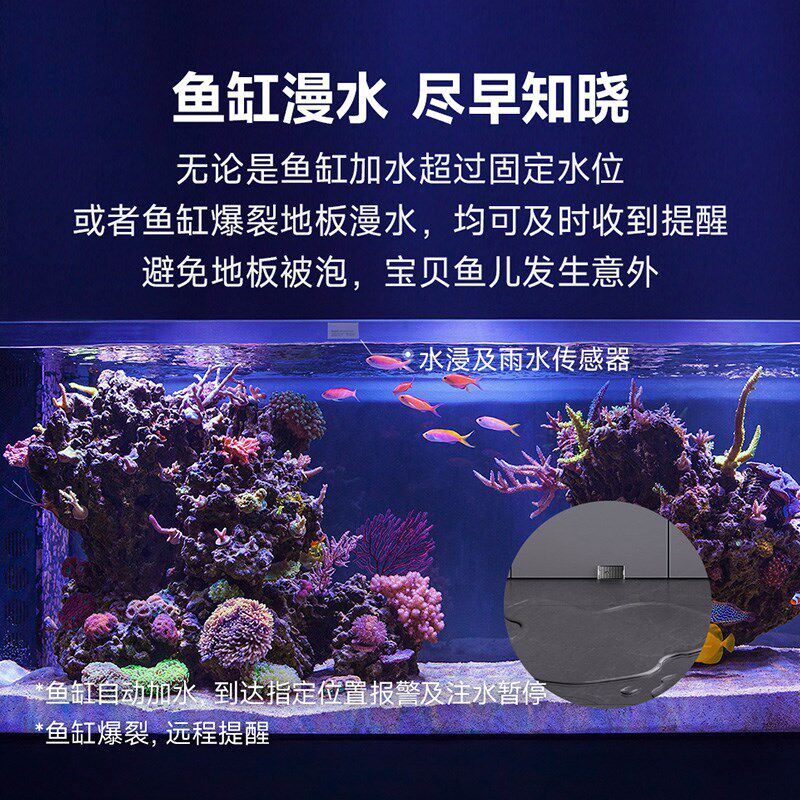 已接入米家APP水浸感测器卫士雨水感应器监测漏水关阀下雨关窗户 - 实物图