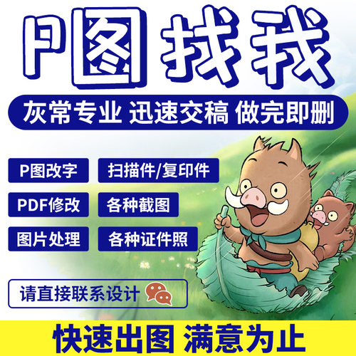 专业P图片处理无痕修图字扫描复印件改pdf报告施工程围堰合成去人