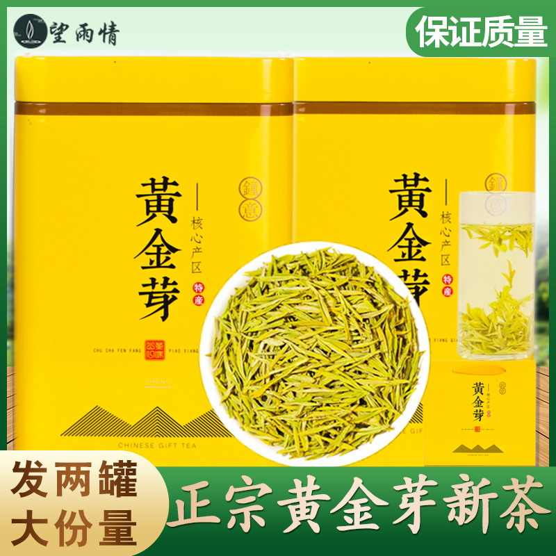 白茶黄金芽茶叶2024年新茶明前特级春茶茶叶250g罐装散装绿茶茶叶 茶 特色产区绿茶 原图主图