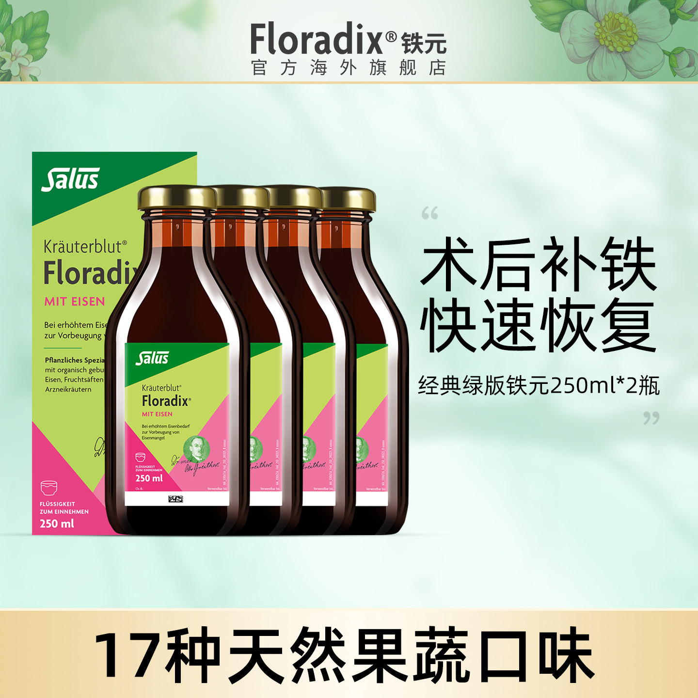 Floradix 德国绿版铁元补铁剂调气养血术后食品营养品250ml*4