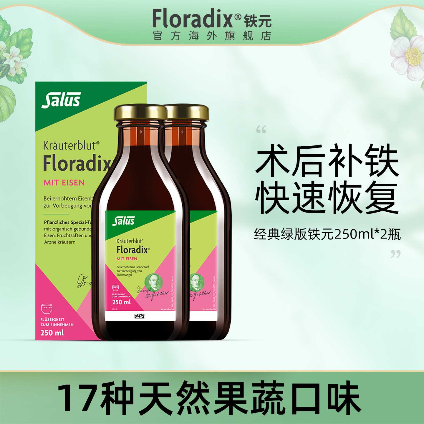 Floradix 德国绿版铁元补铁剂调气养血术后食品营养品250ml*2