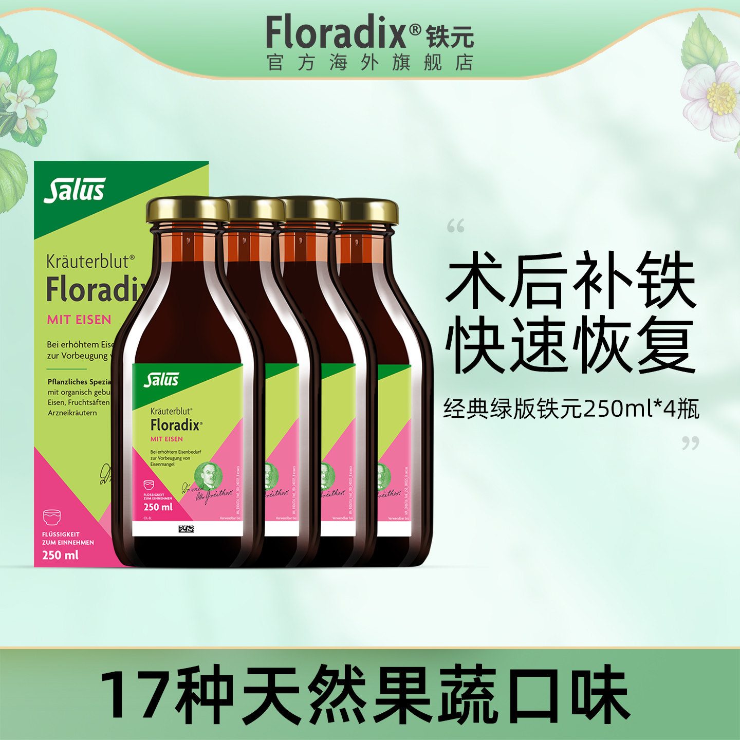 Floradix 德国绿版铁元补铁剂调气养血术后食品营养品250ml*4