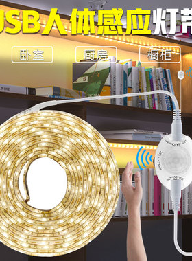USB智能人体感应灯带套装床底灯5v自粘灯条LED红外感应橱柜衣柜灯