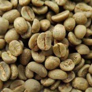 巴西莫吉安娜皇后庄园黄波旁日晒SOE精品咖啡生豆