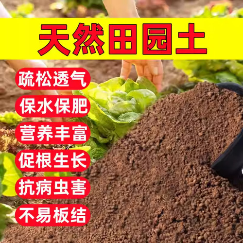 园艺泥土田种植可混合营养