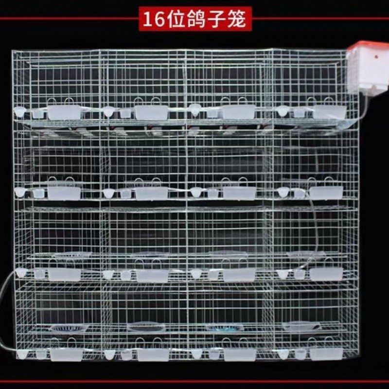 鸽子笼养殖家用双层鸽笼繁殖肉鸽信鸽12位16位白大号特大号