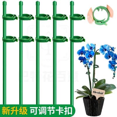 植物支撑杆花架朱顶红防倒伏支架园艺吊兰月季番茄架子绿植爬藤架