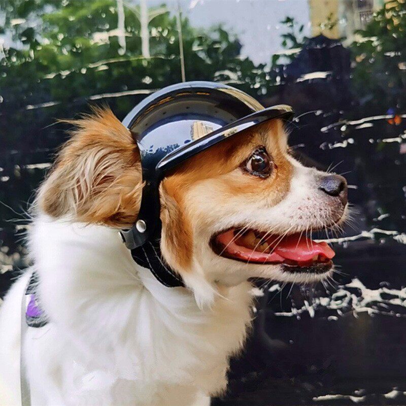 新款宠物头盔漏耳朵狗狗猫咪坐车防风眼镜摩托车机车大型犬帽