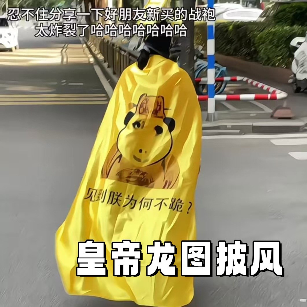 皇帝龙图披风龙袍披风见朕为何不跪cosplay搞怪游戏扮演抽象百搭
