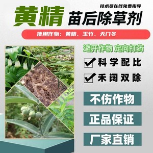 黄精玉竹天门冬除草剂禾阔双除