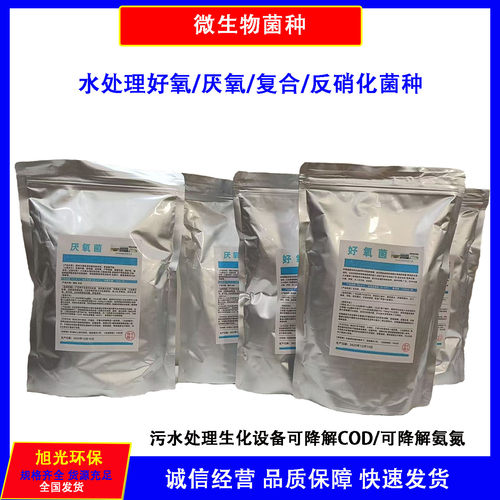 污水处理厌好氧复合降解COD氨氮总氮耐低温硝化微生物菌种固液体