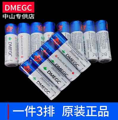 DMEGC大容量5号电池指纹锁专用电池玩具智能锁酒店锁五号碱性12节