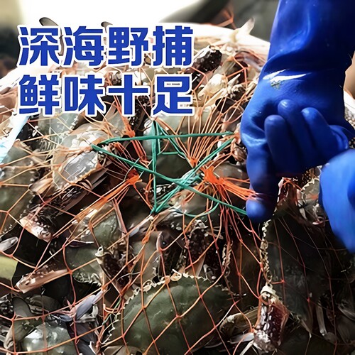 【保鲜不保活】野生海捕梭子蟹公蟹特大新鲜飞蟹螃蟹不保全腿顺丰