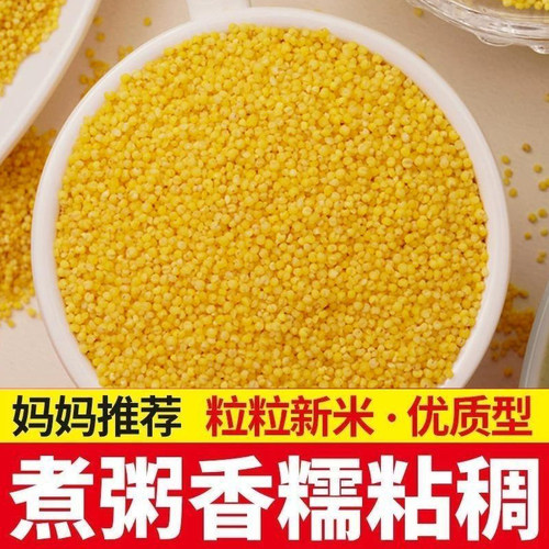 山西优质新黄小米5斤月子杂粮米