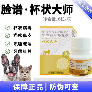脸谱杯状大师猫杯状病毒口炎疱疹大师口延猫鼻吱喷嚏流泪炎正大师