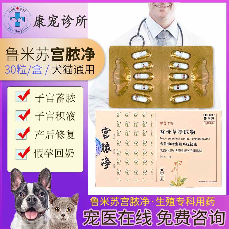 宫脓净宫脓清宠物狗狗猫咪假孕回奶内膜炎流血子宫蓄脓积液感染药