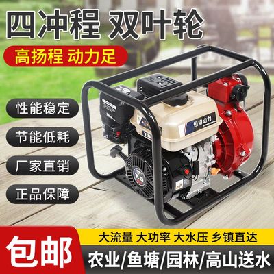 德国进口家用小型四冲程汽油机水泵23/4寸农用大流量高扬程抽水机