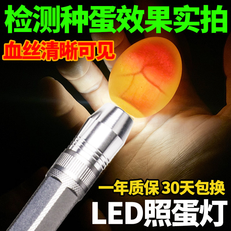 照蛋器孵化专用强光验蛋器LED冷光小型手电筒检查鸡鸭鹅受精种蛋,五金/工具,电热工具,淘宝优惠券,粉丝福利购,淘宝优惠卷