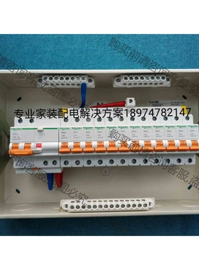 施耐deE9系列16位强电套装总开2P 63A漏电+1P分开经 议价产品 原