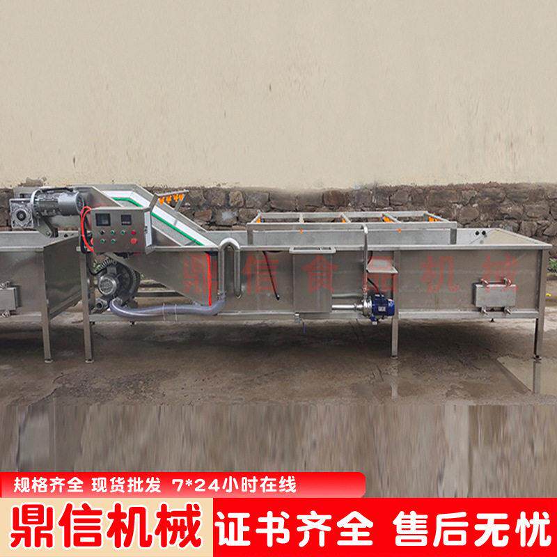 多功能清洗机 蓝莓清洗机 连续式清洗加工设备 枸杞净菜厂家