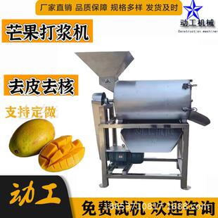 大型西梅汁打浆设备杨梅去核打浆机工业煮熟山楂枣打泥机