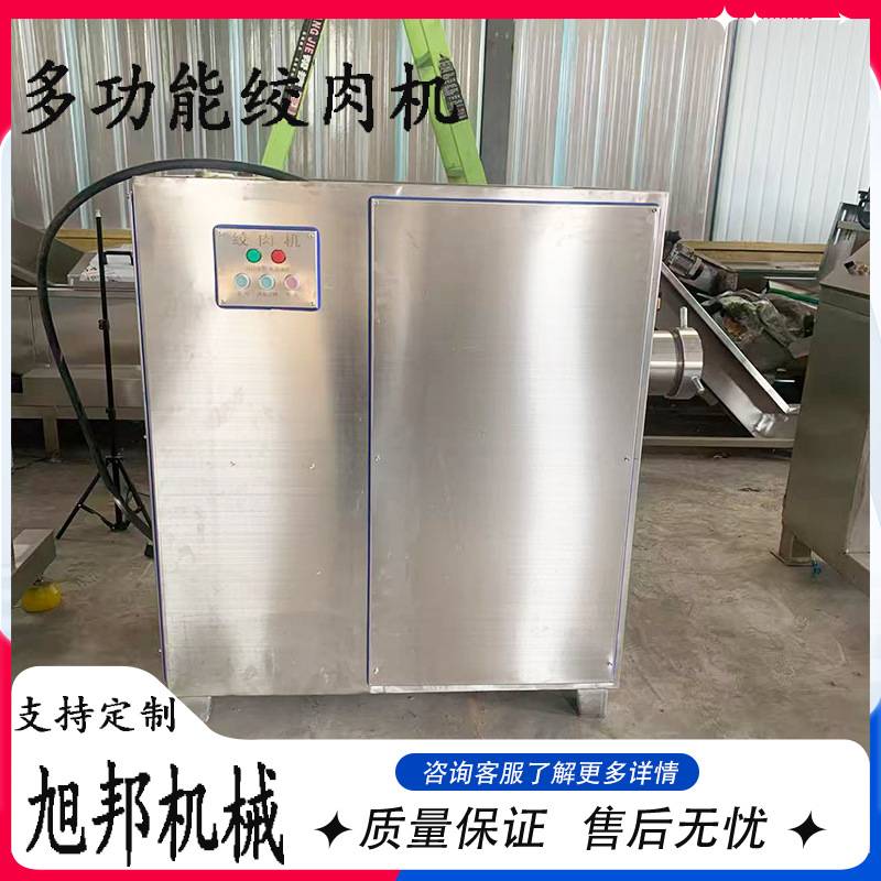 多功能电动冻肉绞肉机 商用不锈钢碎肉机 各类丸子肠类绞肉设备