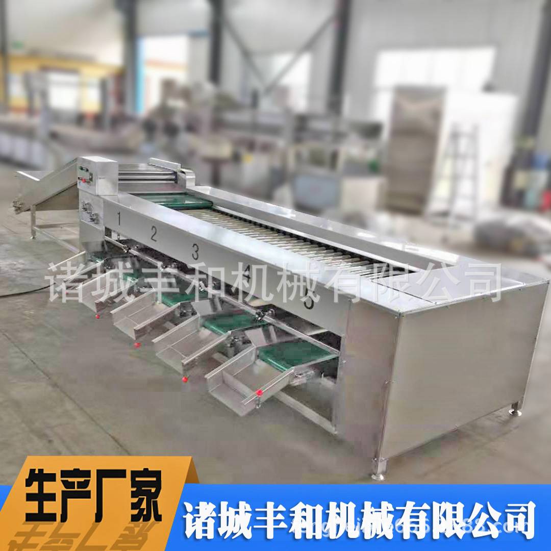 人参果分级机 砂糖橘分级机 牛油果大小分选设备厂家 杨桃分级机