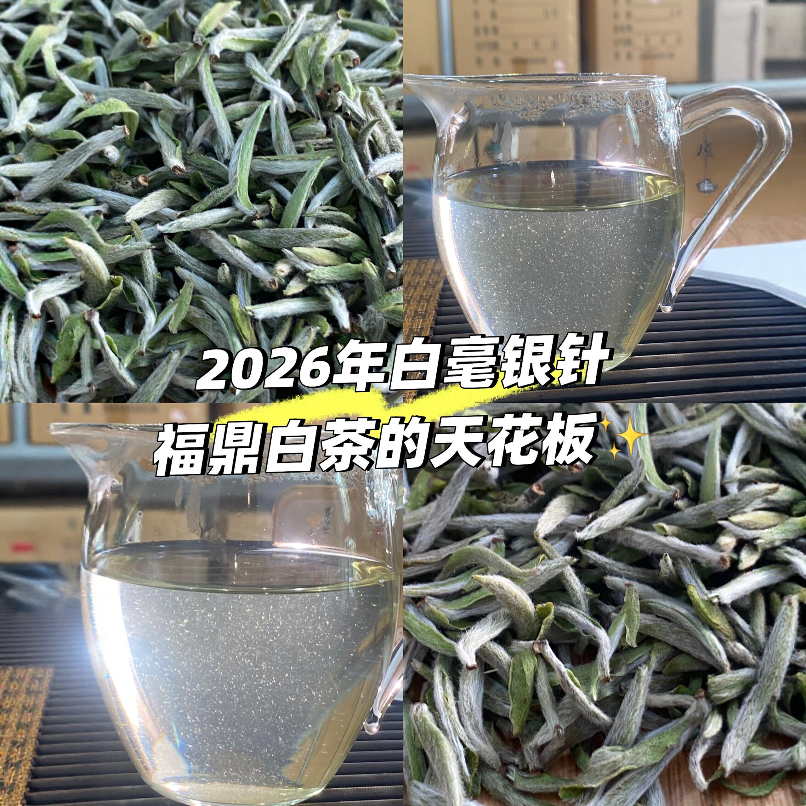 2026年头采白毫银针福鼎白茶老树银针毫香蜜韵白毫银针50g尝尝鲜