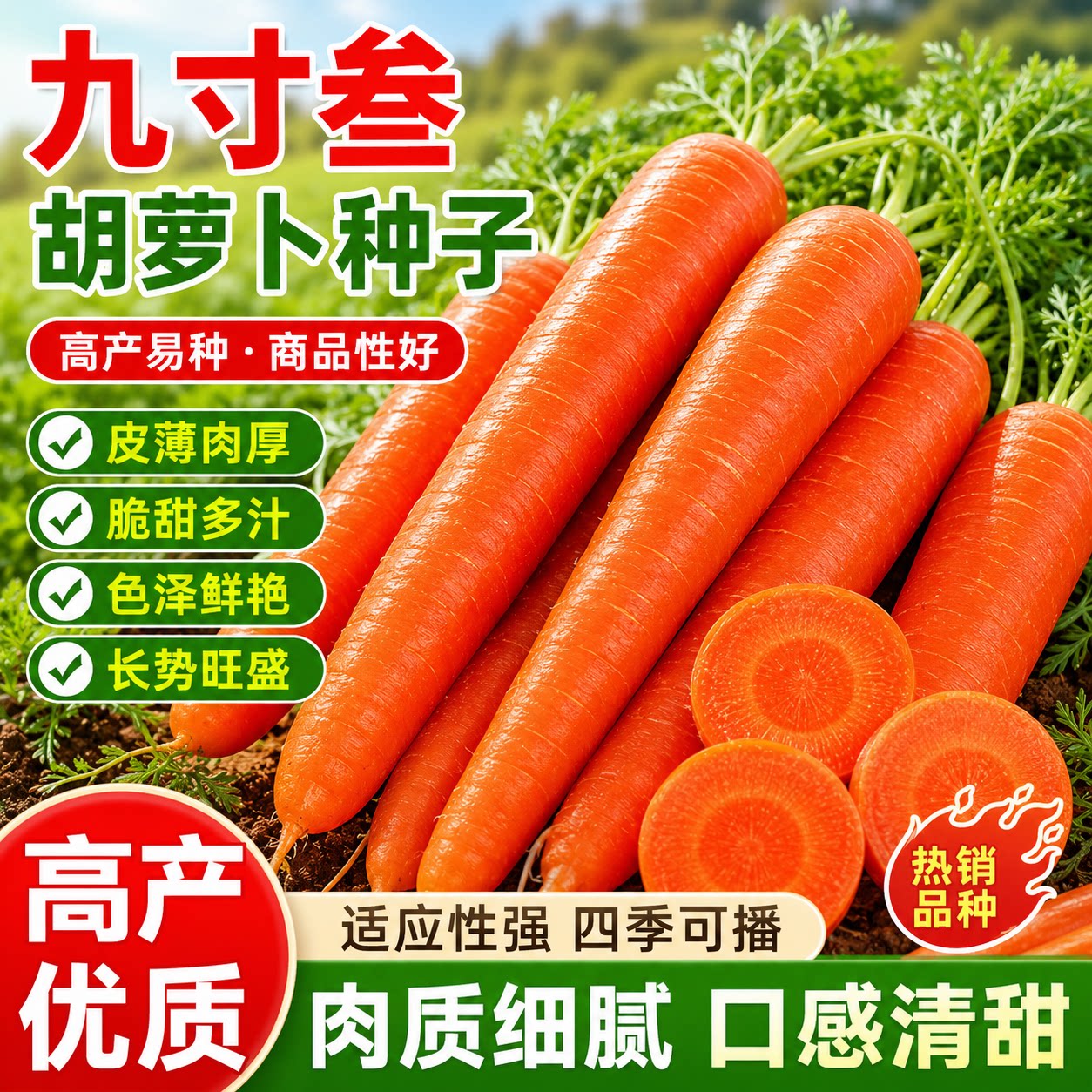 老品种三红胡萝卜种子高产九寸参四季农家自种水果萝卜蔬菜籽种子
