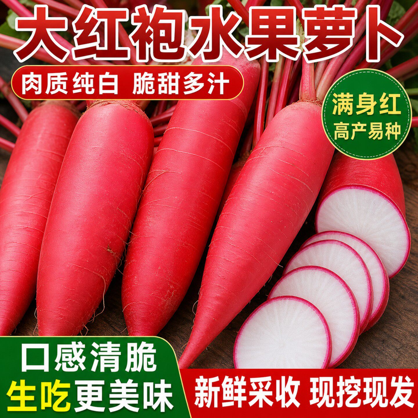 大红袍萝卜种子高产早熟满身红水果萝卜种子红皮白肉庭院露天种植