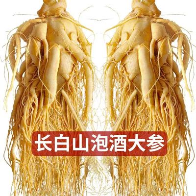长白山整枝人参煲汤泡酒专用滋补