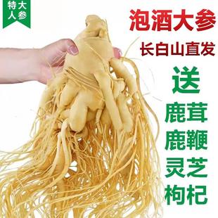 正宗长白山人参大保鲜参高年吉林新鲜人参深山老参白参煲汤泡酒专