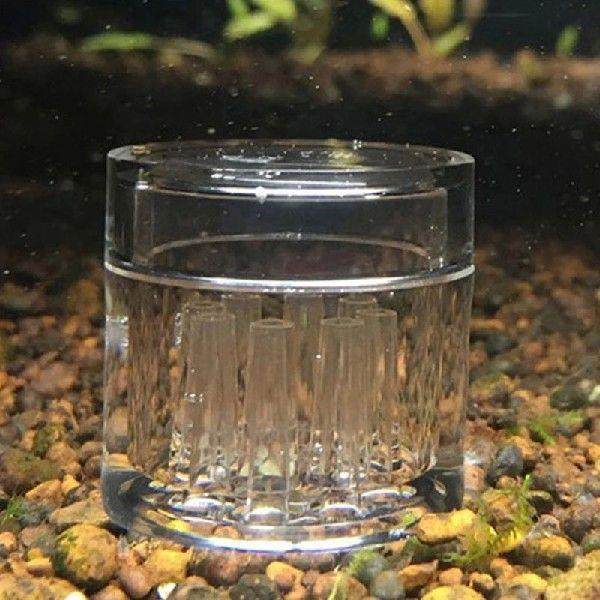 Acrylic Planaria Trap Box Leeches Catcher 8 Holes Aquatic