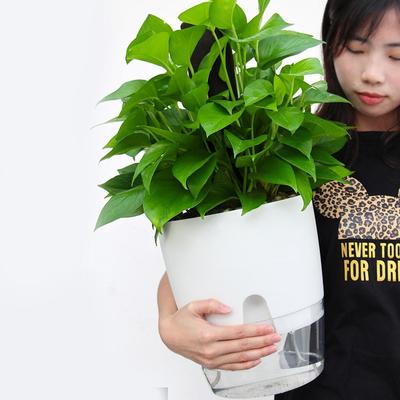 ABS Automatic Self Watering Flower Pot for Succulent Plants