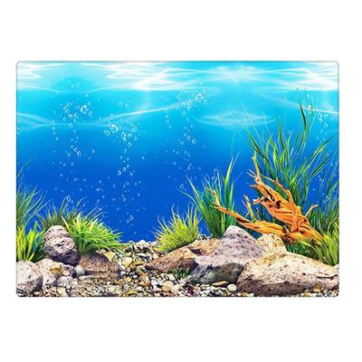 Background for aquarium decoration fish tank Plants for aqua